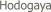  Hodogaya