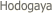  Hodogaya